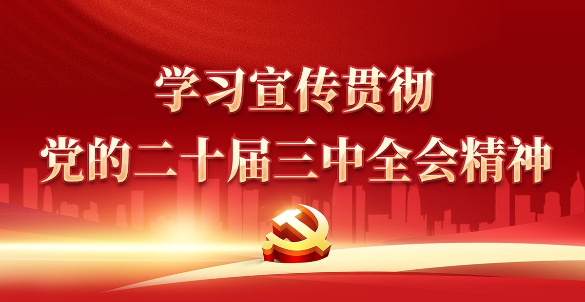 學(xué)習(xí)宣傳貫徹黨的二十屆三中全會(huì)精神